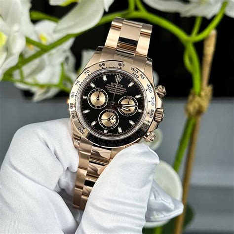 rolex everose gold 40mm